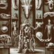 Illustration for article titled A Chilling Look Inside the Predators Trophy Room